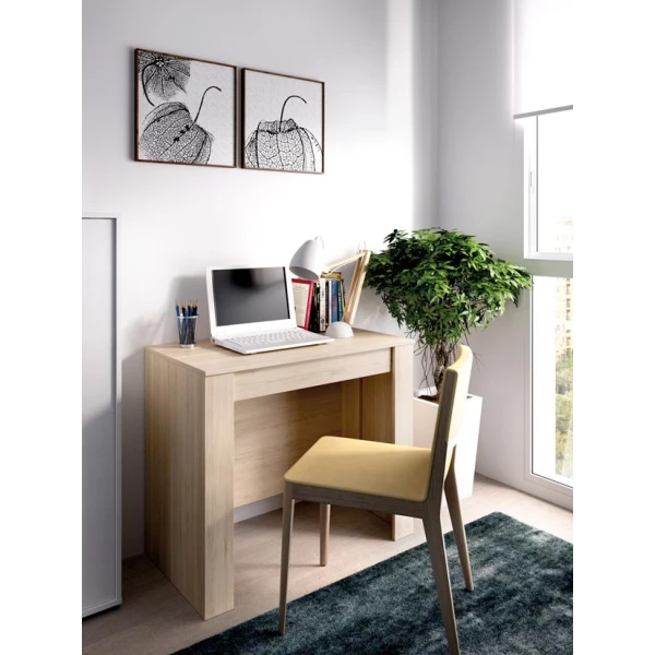 Extendable table with 5 positions. Adaptable table. From desk to dining table for 2 to 10 guests. Easy storage. Ideal for guests