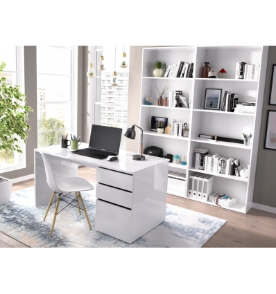 DESK TABLE WITH 2 DRAWERS AND DOOR STILO 