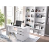 DESK TABLE WITH 2 DRAWERS AND DOOR STILO 