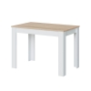 Kitchen table