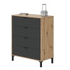 4-DRAWER CHEST PARACAS