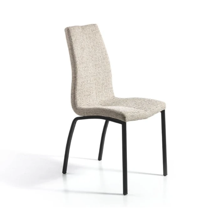 Dining Chair With Back