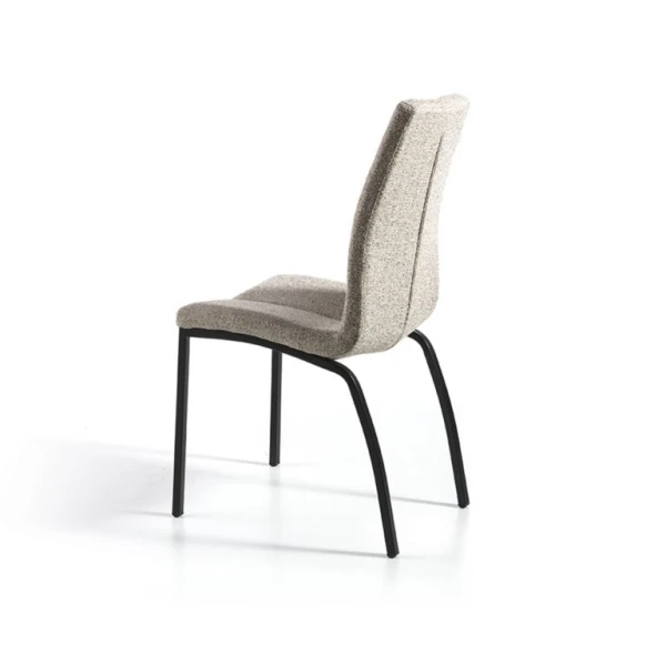 Dining Chair With Back
