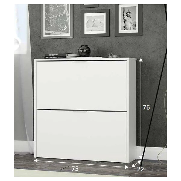 Shoe cabinet swing doors