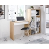 STUDY DESK WITH ONE DRAWER ROCO