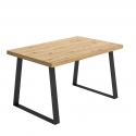 INDUSTRIAL STYLE DINING TABLE WANDY
