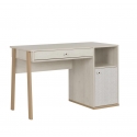 TERRAL CHILDREN'S DESK